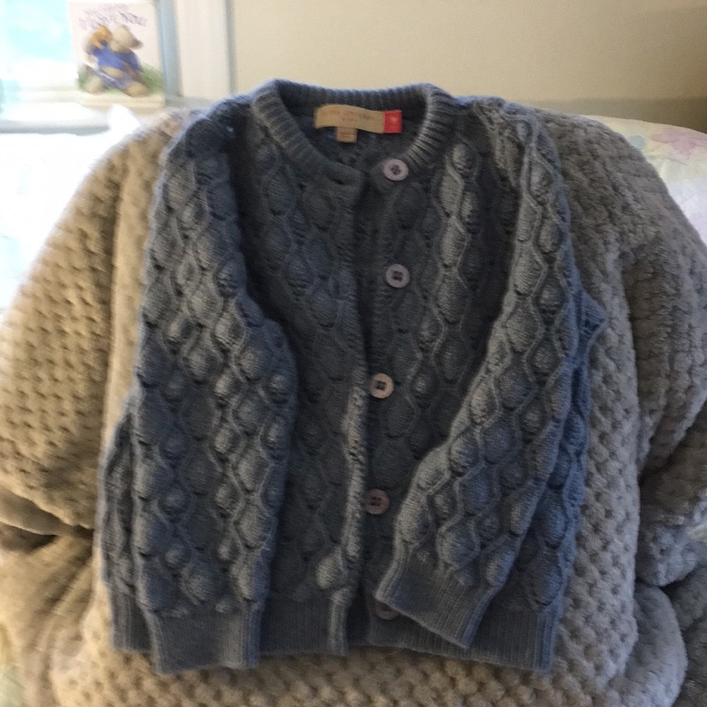 Beautiful Pink Chicken Merino Wool Sweater